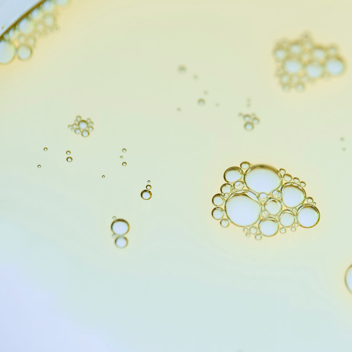 POM Care Co close-up scientific macro shot of a liquid surface with scattered bubbles.
